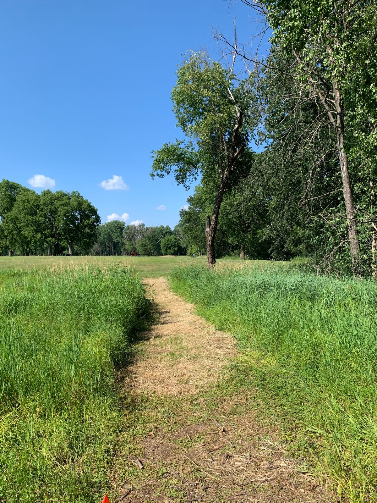 Hole 6