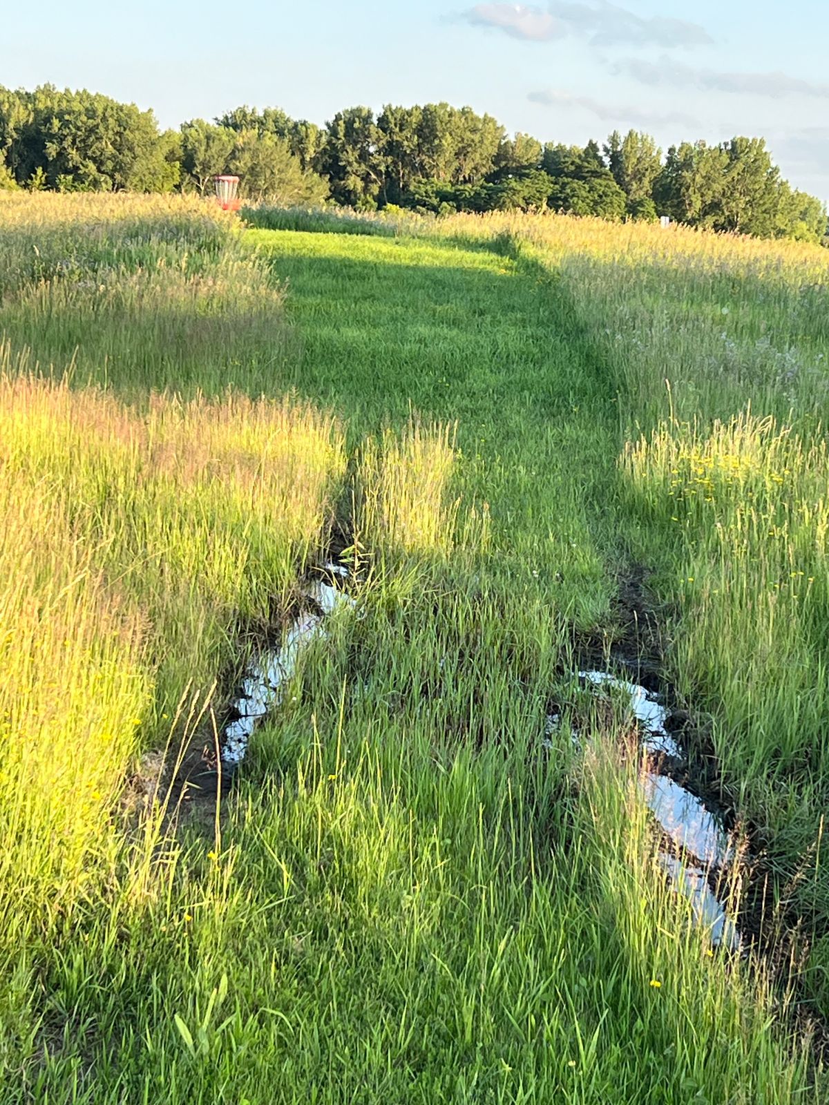 6/26 Course is drying out, but still navigating some ditch water on hole 1,18.
Signs coming soon
