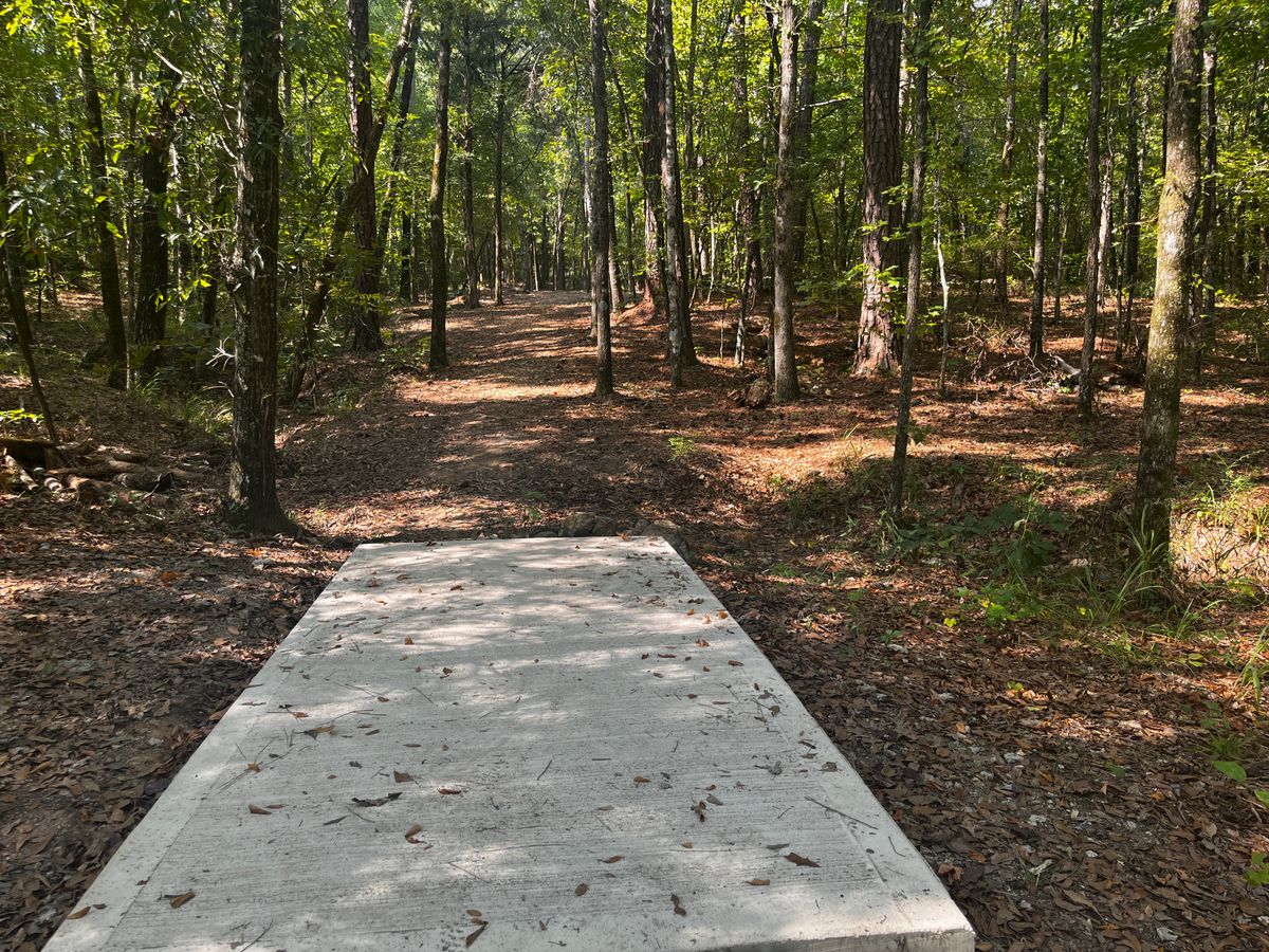 Hole 1 tee box