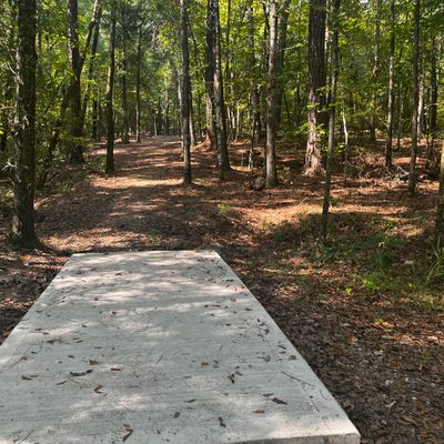 Hole 1 tee box