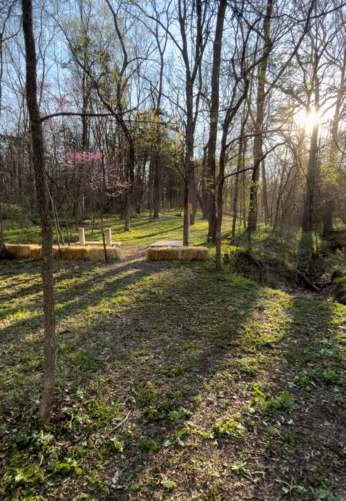 Hole 12 tee