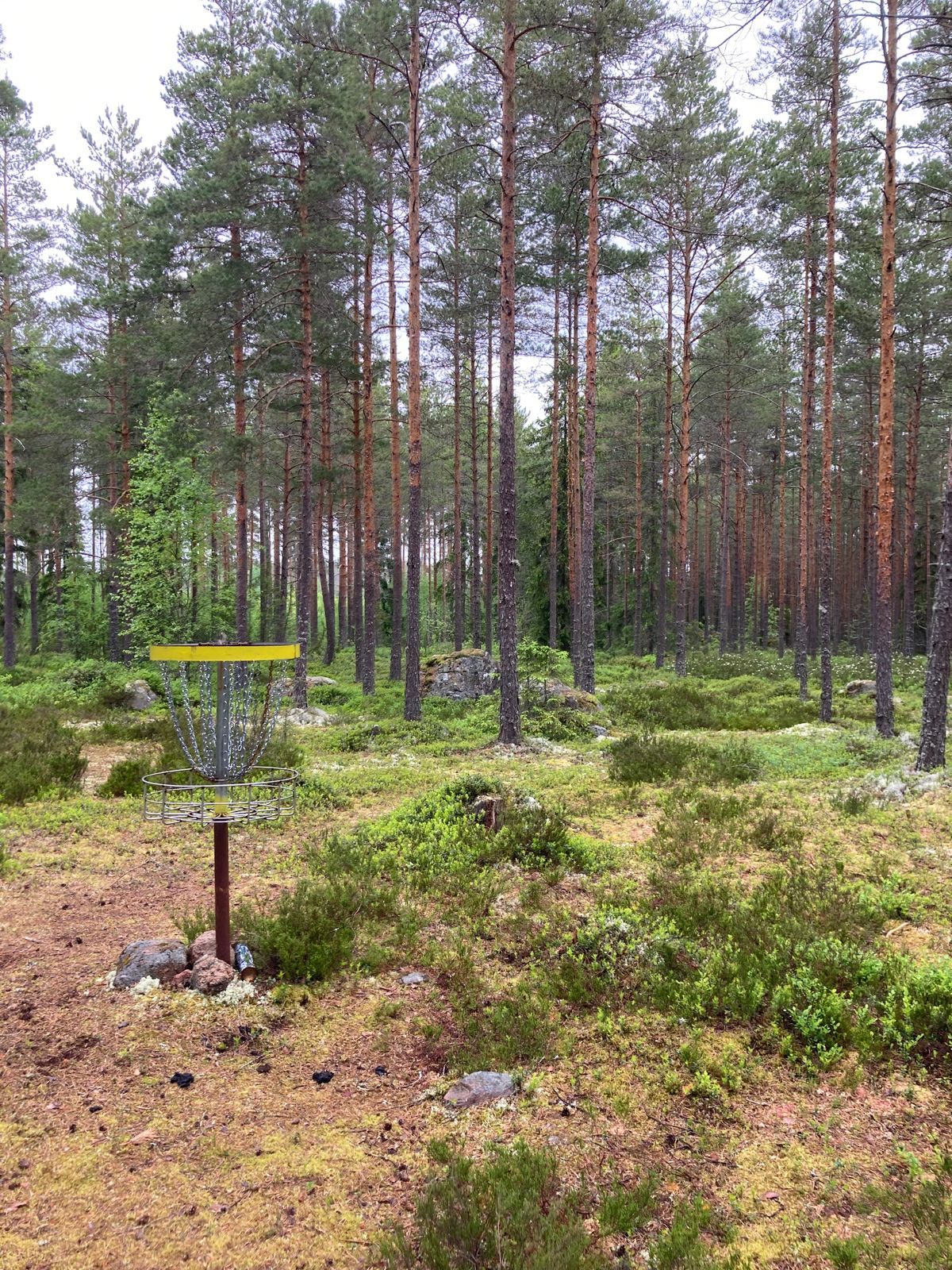 Course photo
