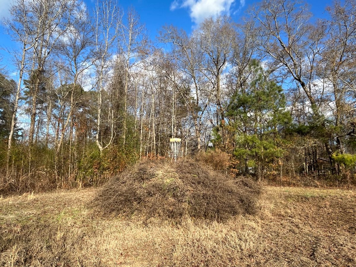 Hole 7 approach