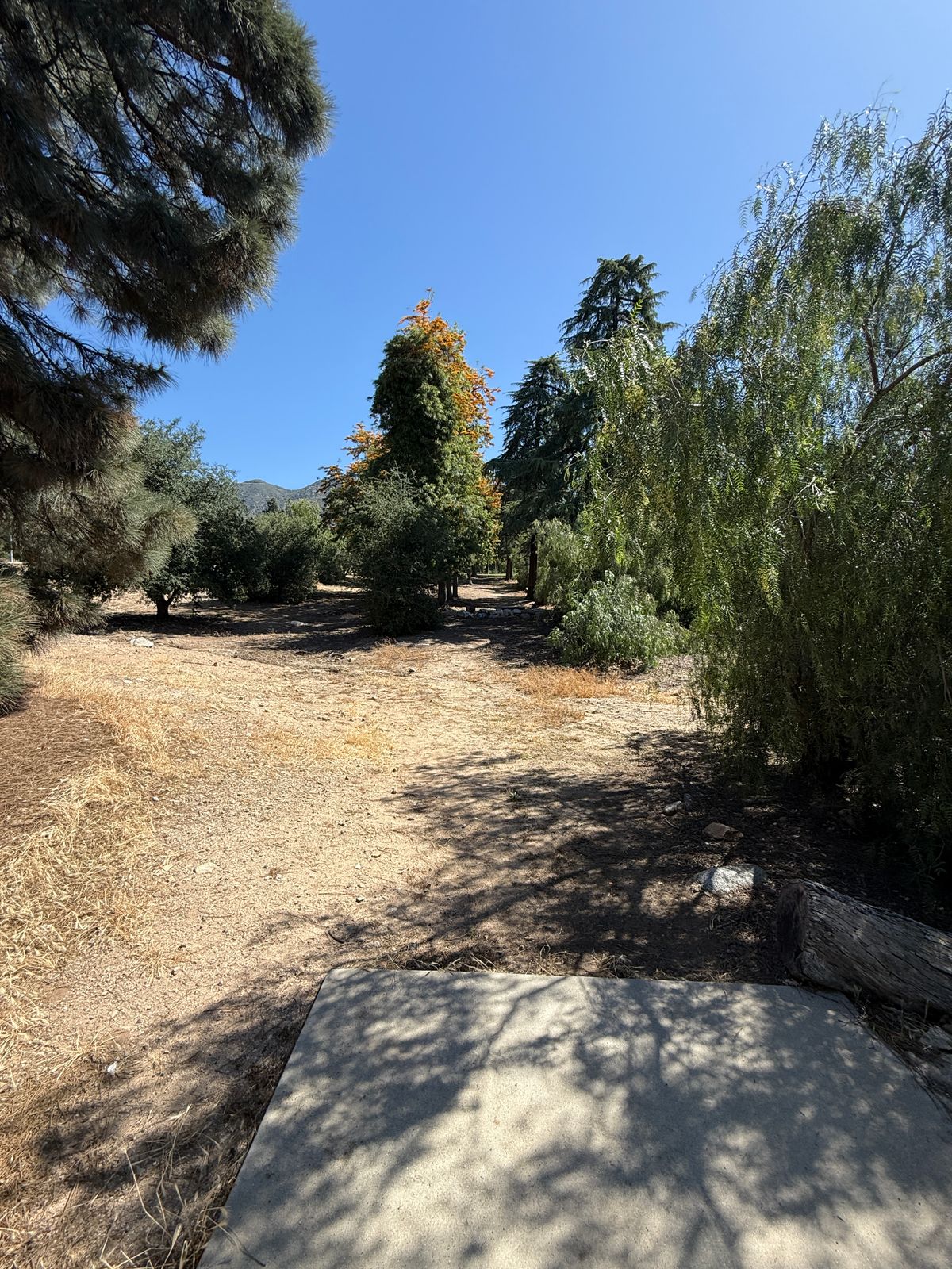 Hole 18 tee