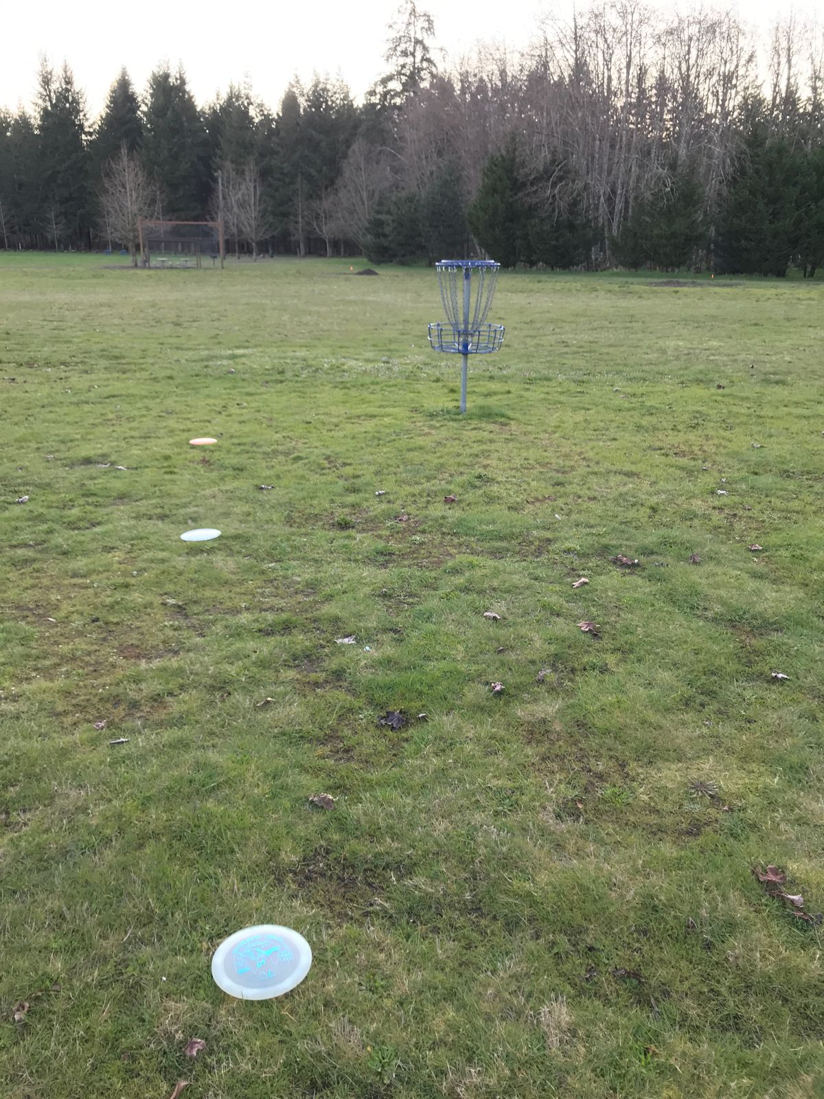 Basket 8 out in open field