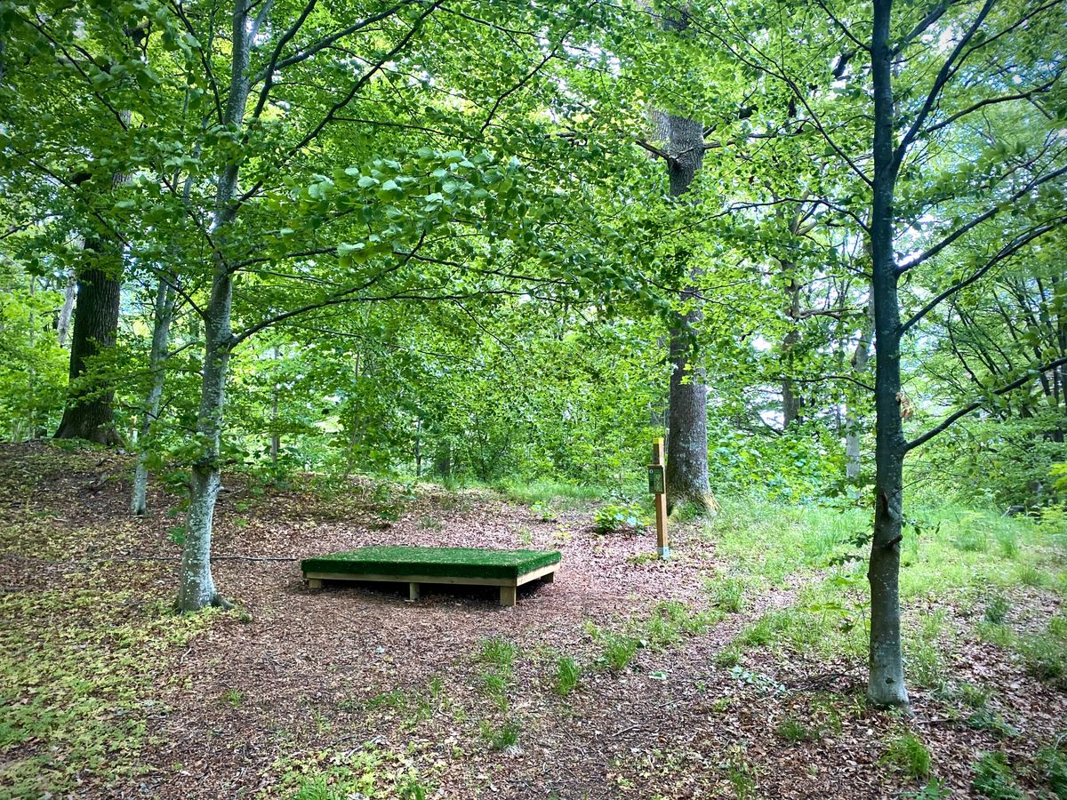 Teepad hole 8