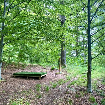 Teepad hole 8