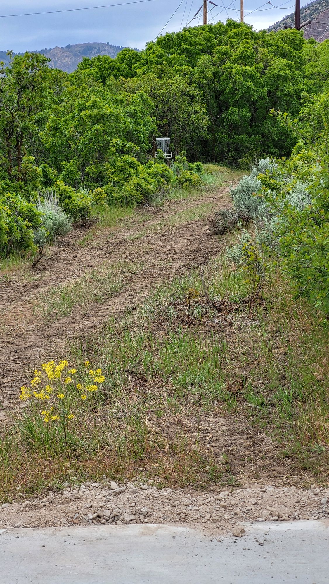 Hole 7