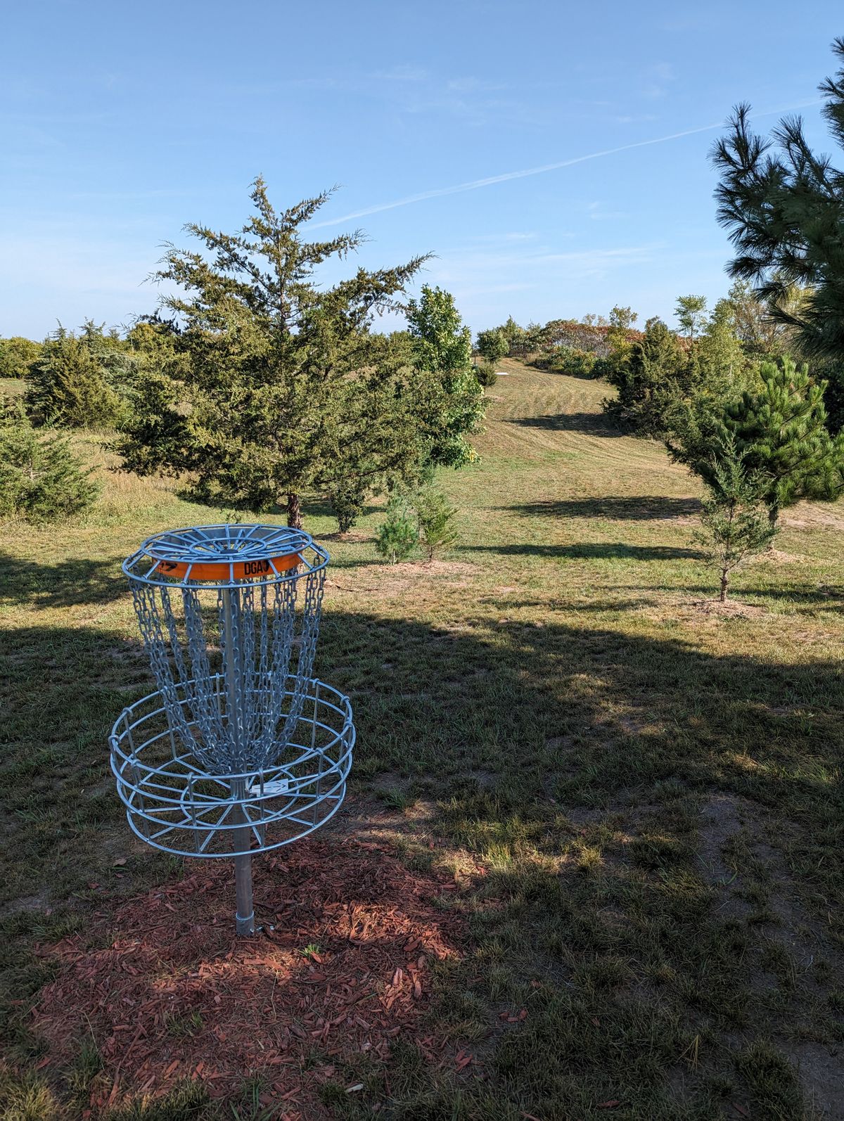 Short Basket looking back at fairway