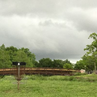 Hole 8