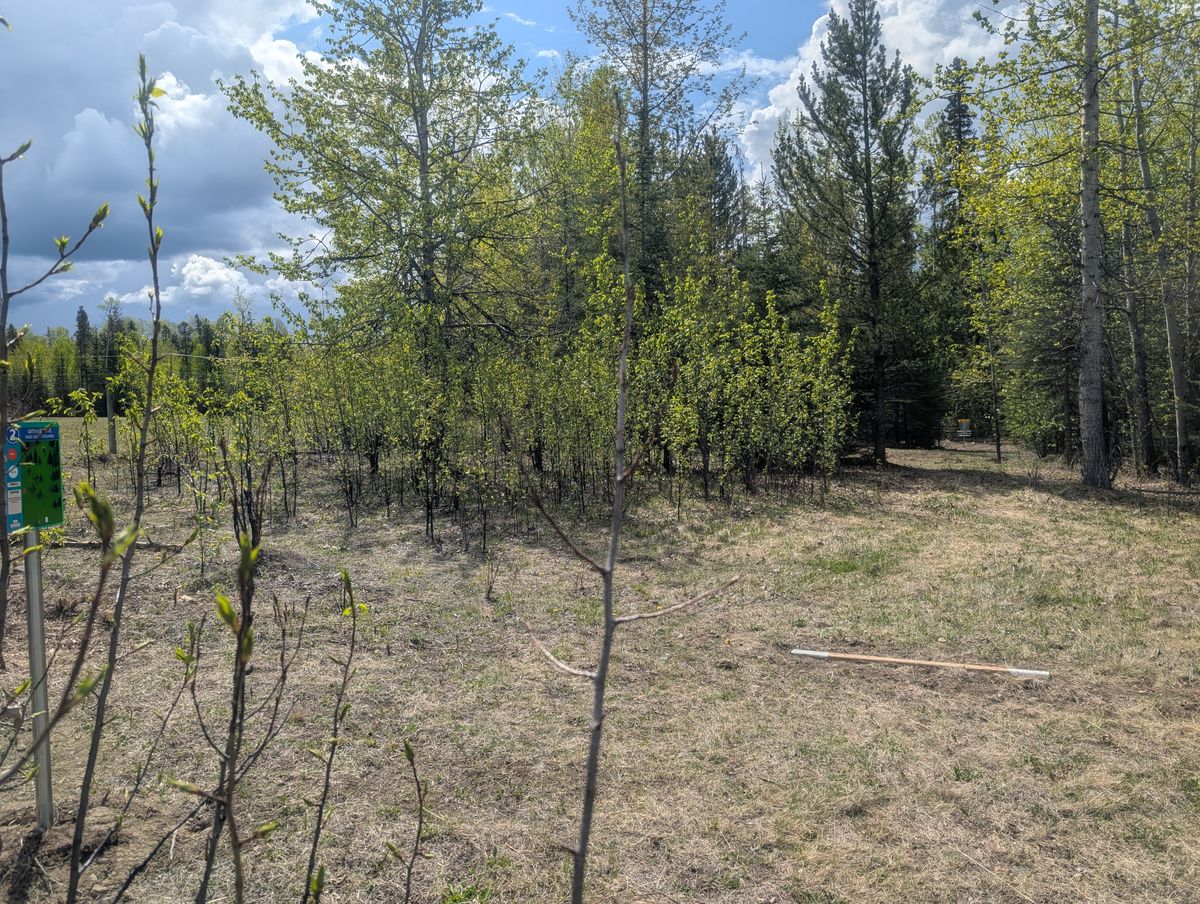 Wolverine Hole 2Wol