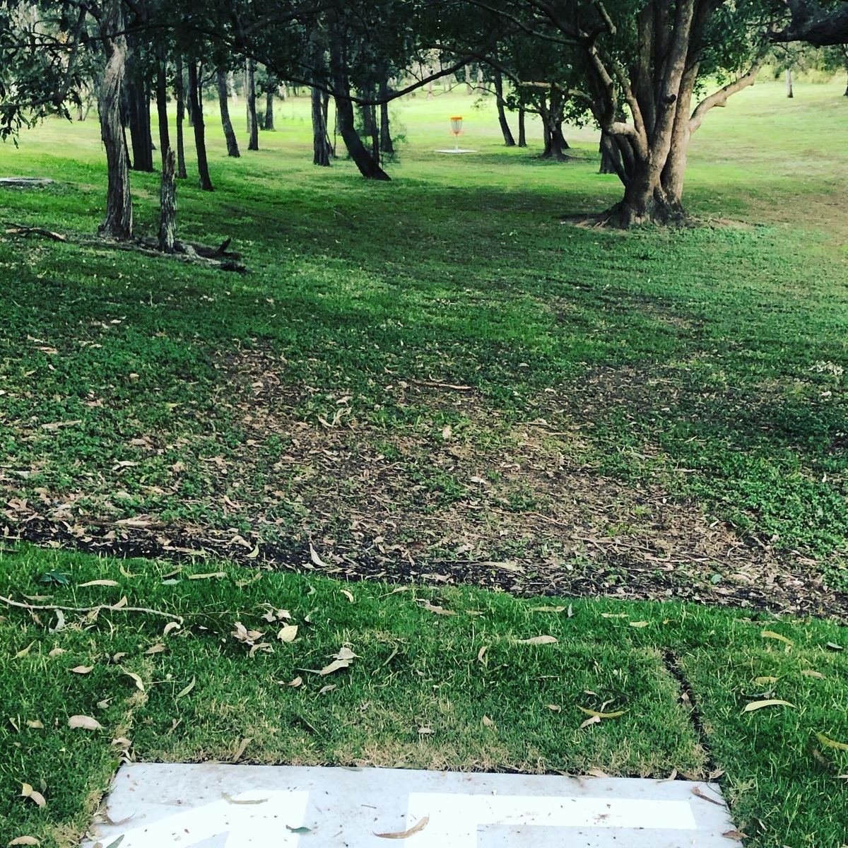 Hole 15