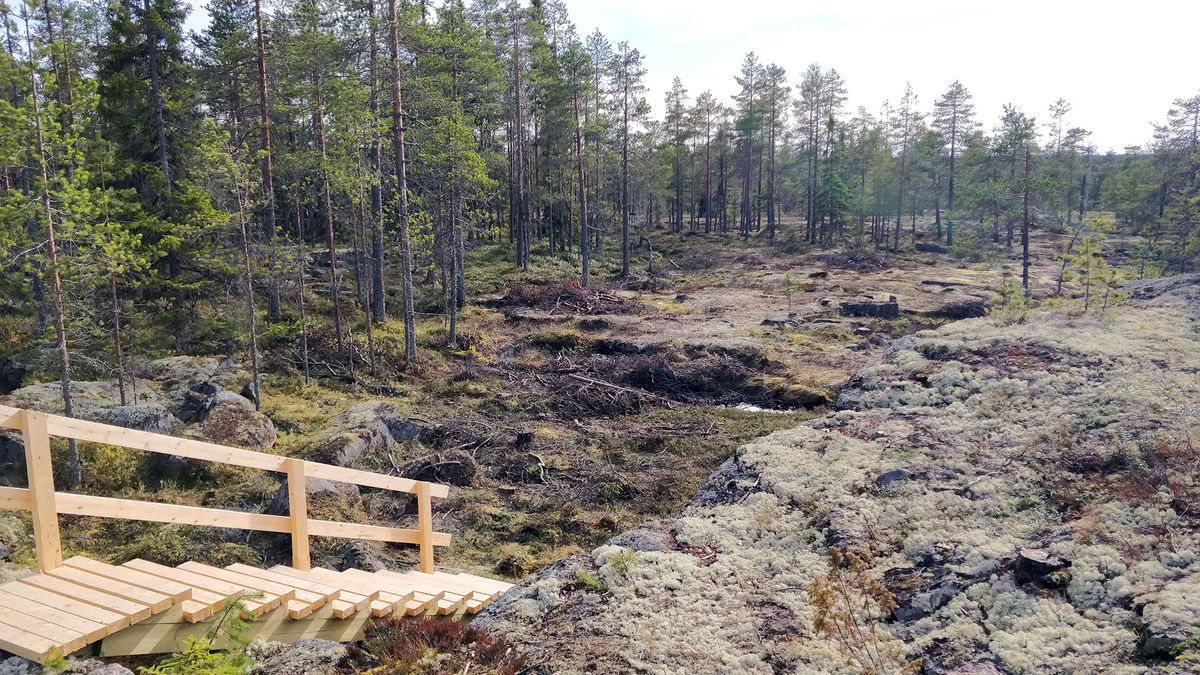 Väylän #7 portaat