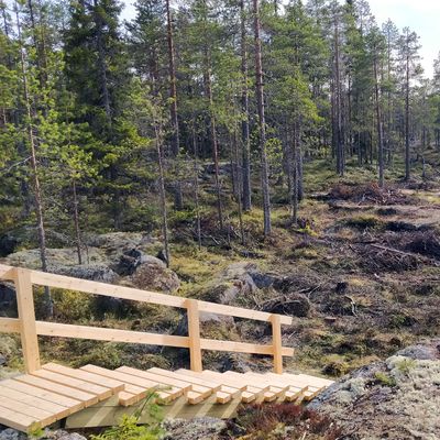 Väylän #7 portaat