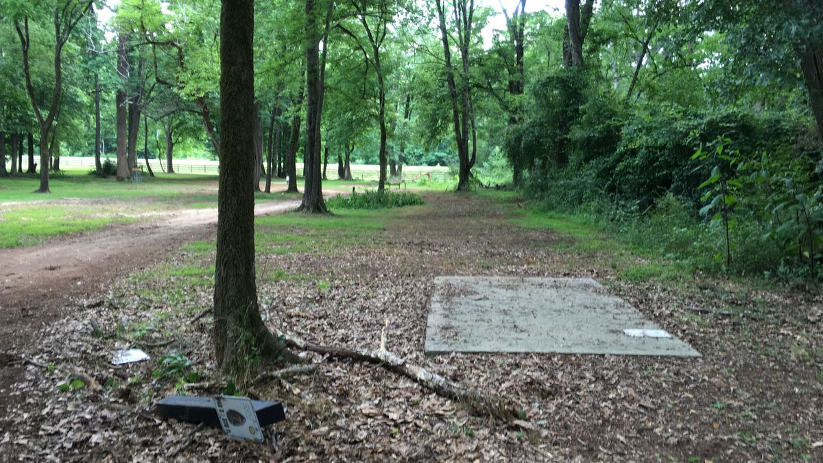Hole 7