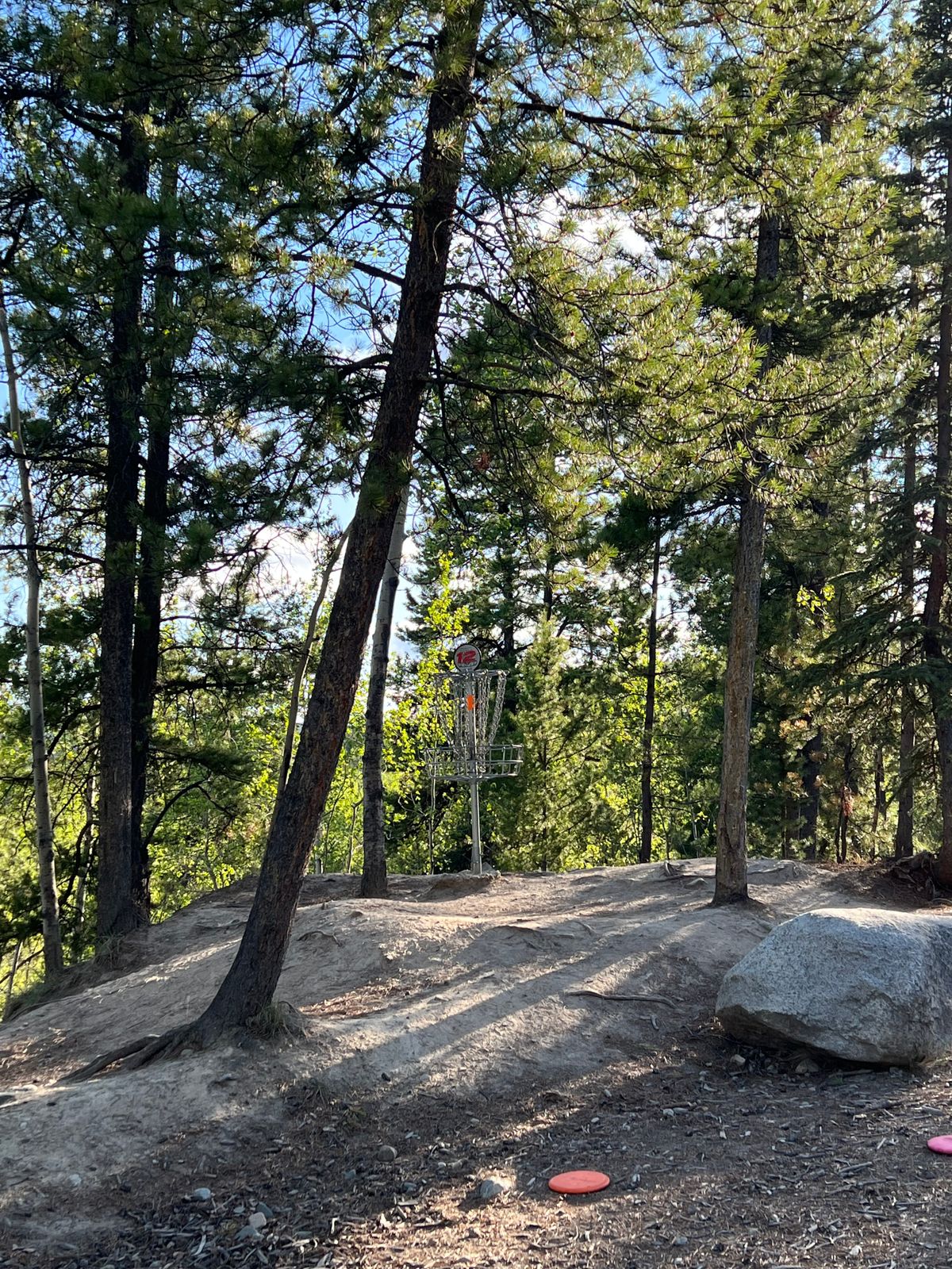 Hole 12 basket
