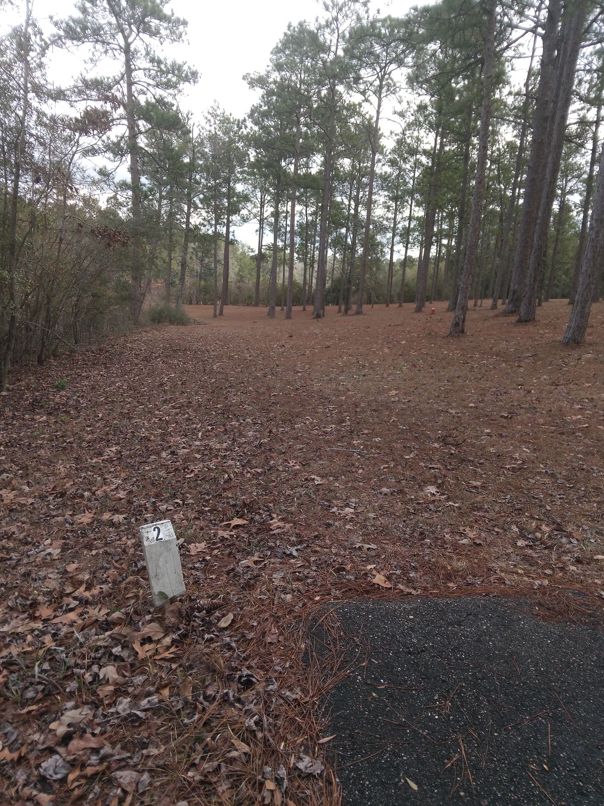 Lake is to the left. Basket is left around dog leg corner