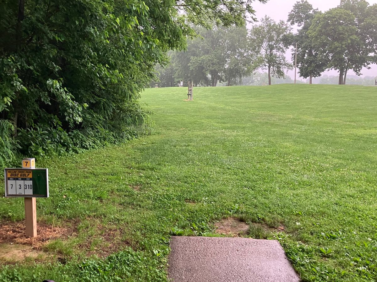 Hole 7 tee 310’ pushing hyzer onto the hillside. There is a depression on the left of the basket.
