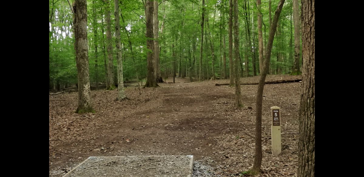 Hole 5 plays down middle
There are almost no bad lies unless the depression near disc catcher is filled with water