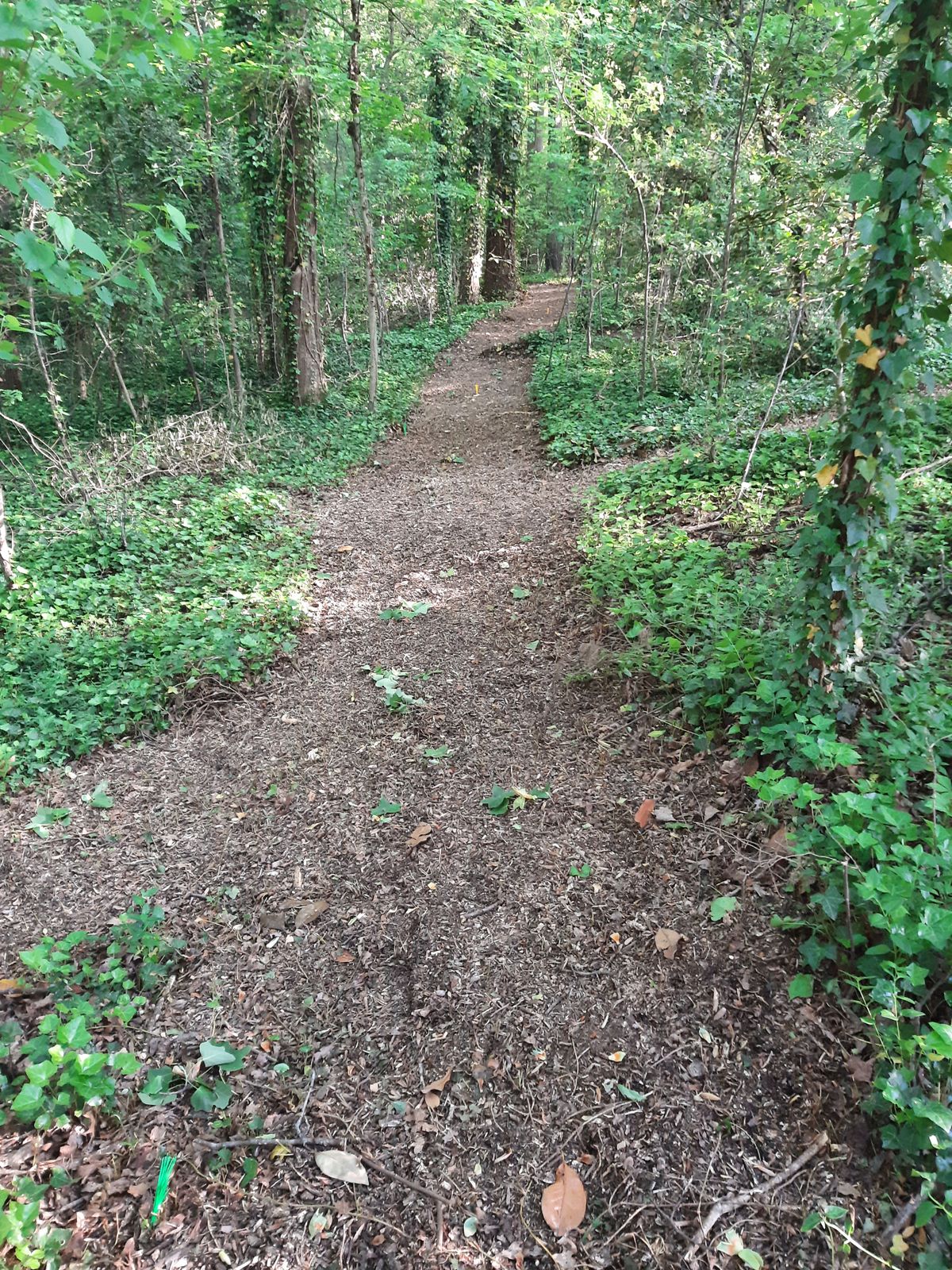 Hole 20 Blue, Gold, and Par 3 Layout Tee