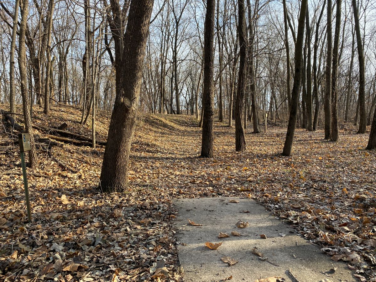 Hole 8 long tee. Unlike the short pad, the pin is pretty much dead straight in front of you.