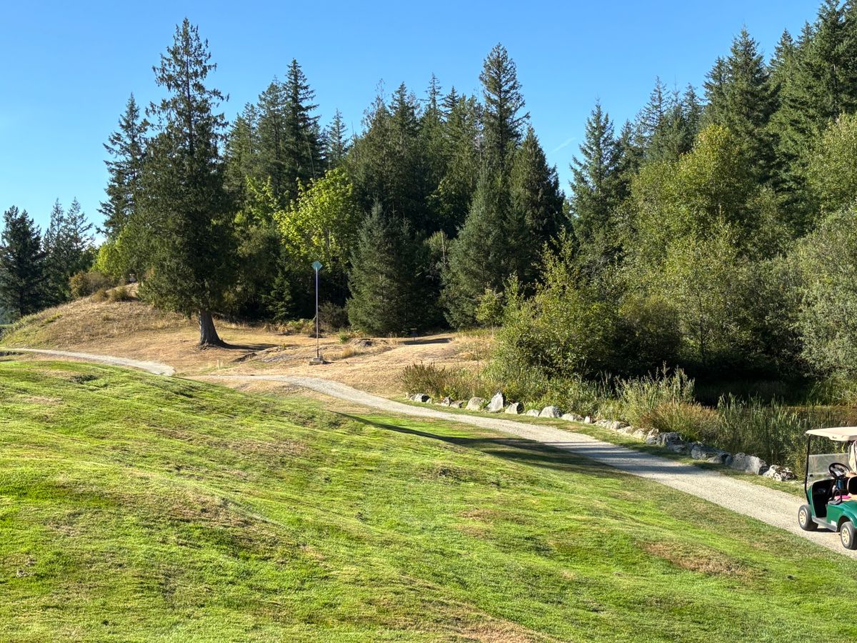 Hole 16 approach.