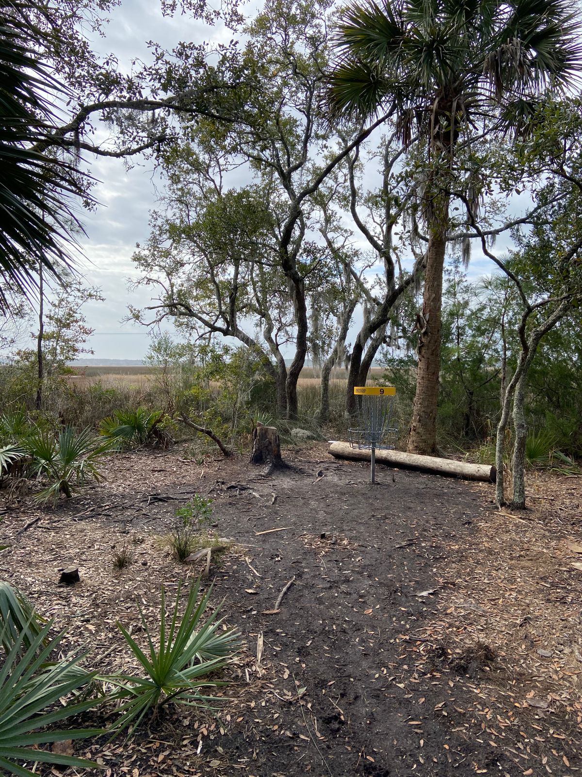Hole 9 basket