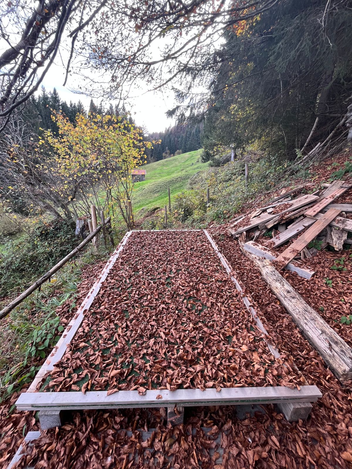 Some Tee Pads currently being modernized
