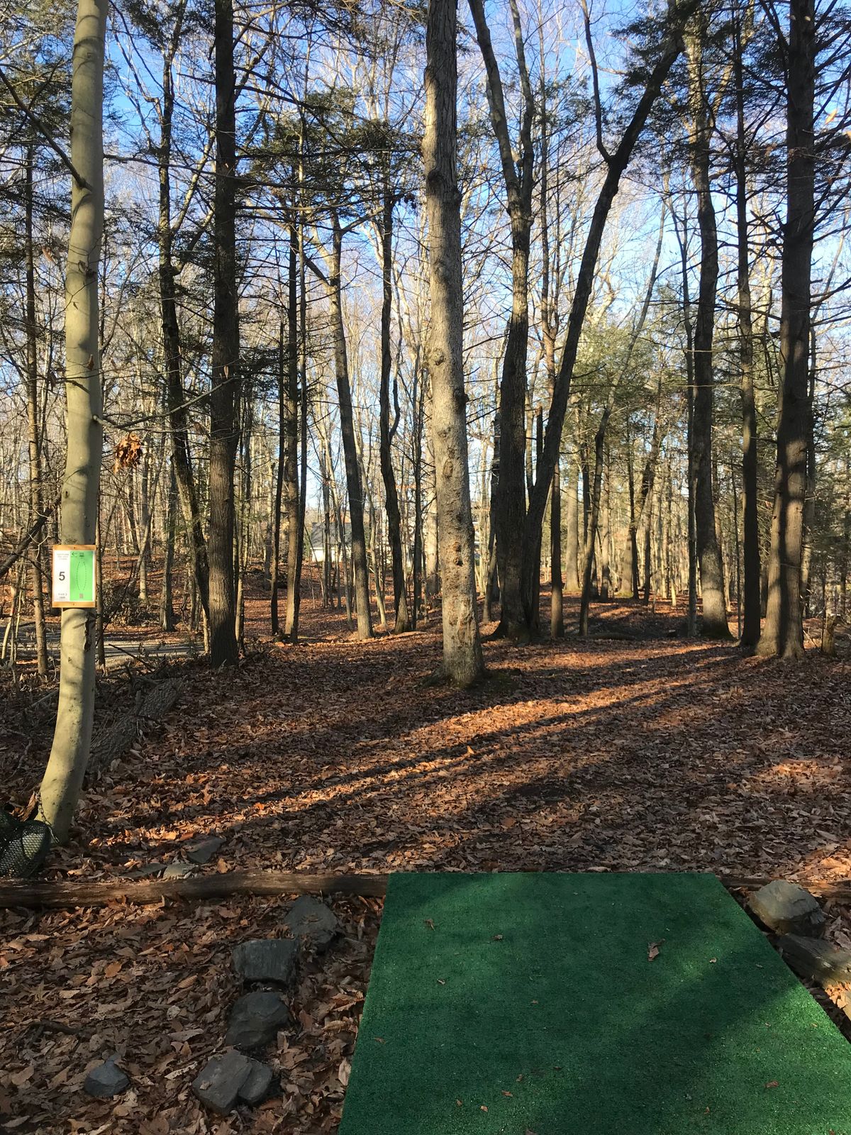 Hole #5 - forehand left or backhand right? Both are solid lines and the course is looking good.