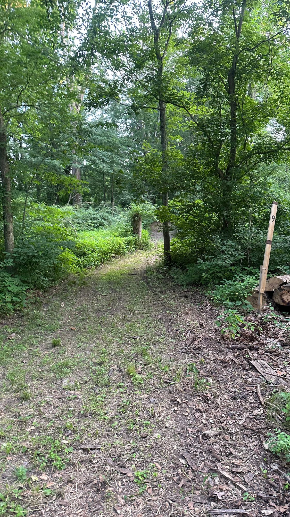 Hole 9 Teepad
Placement shot on the curved fairway to the right, then up the hill
Needs bush-hogged