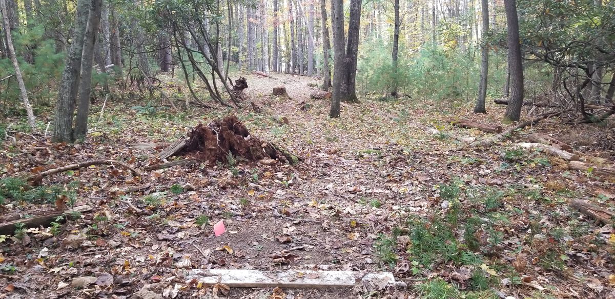 Hole 5 tee