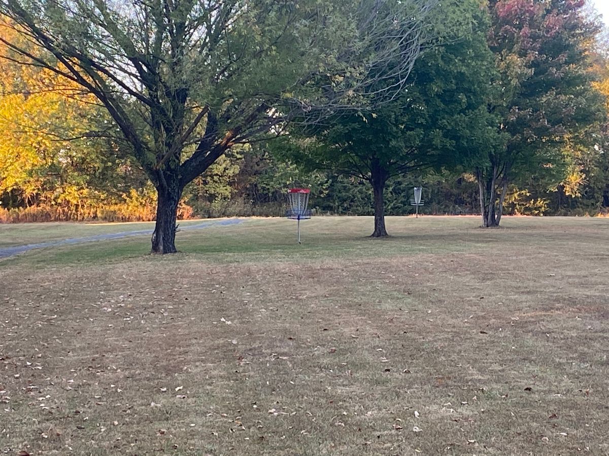 Hole #16 up close to the basket.