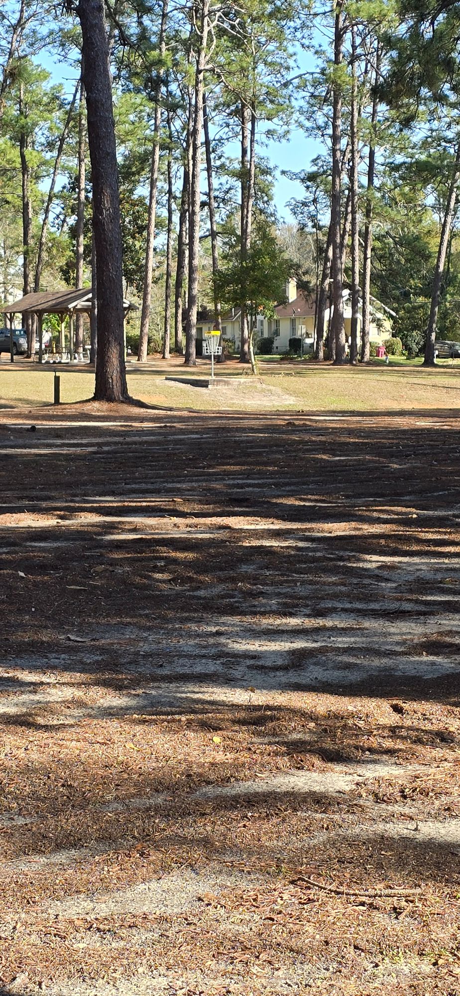 Frome hole 13 tee pad