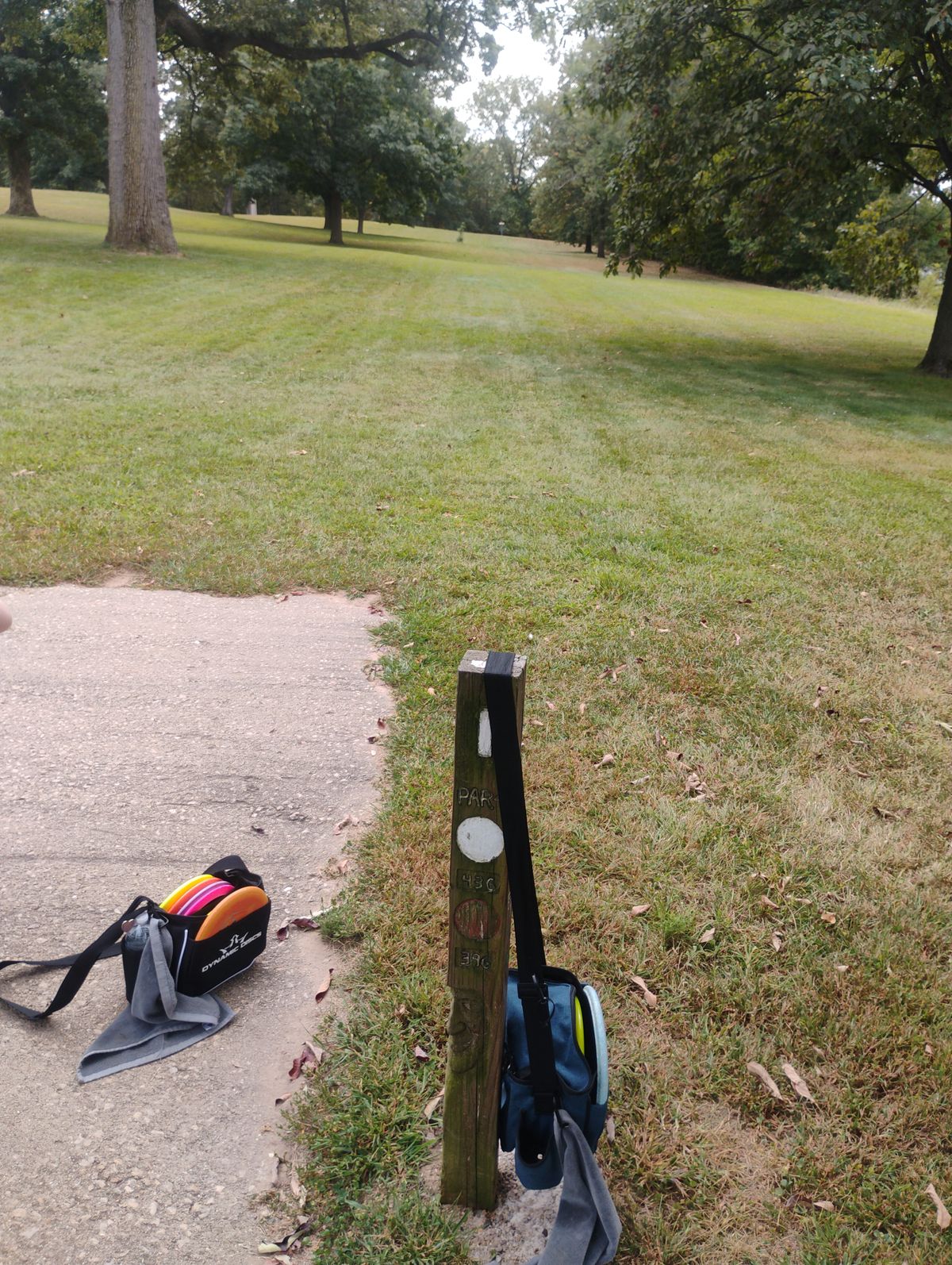 Tee1
