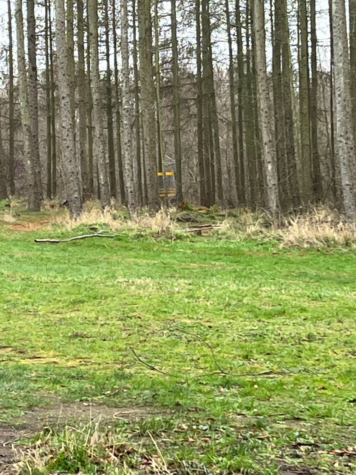 Hul 14 kurv (zoom fra tee)