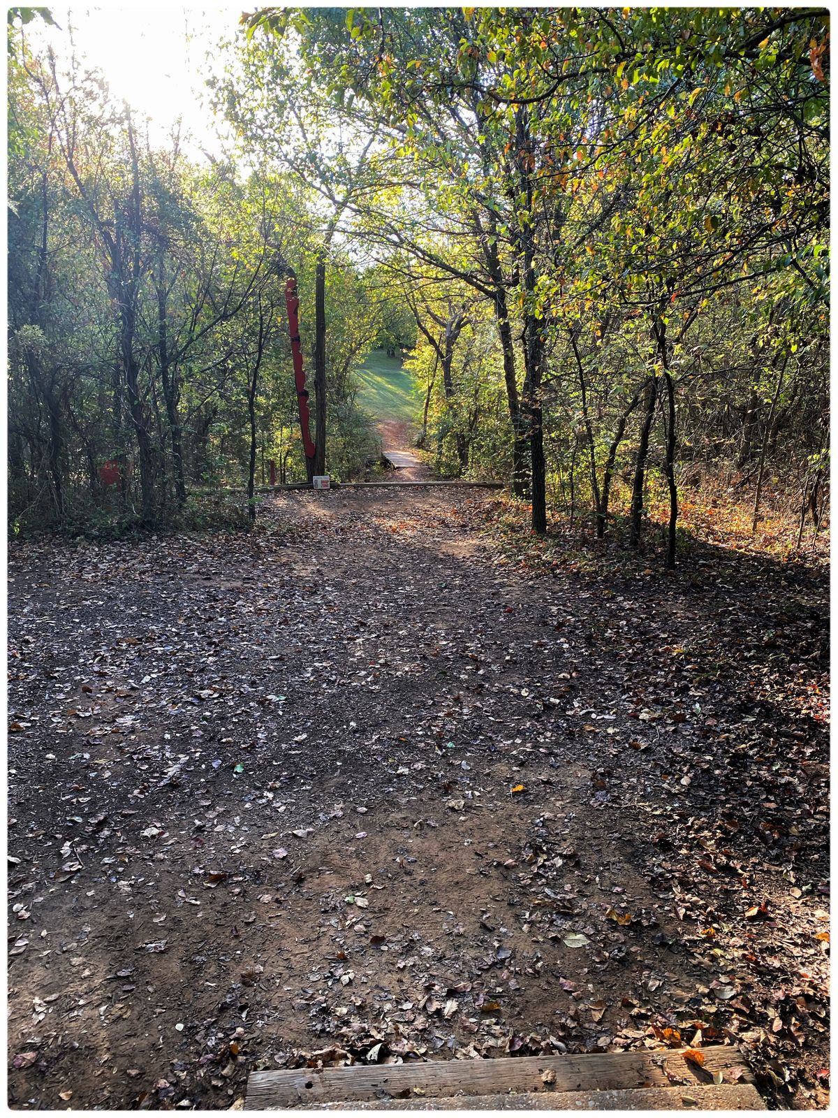 #8 main Tee - throwing east