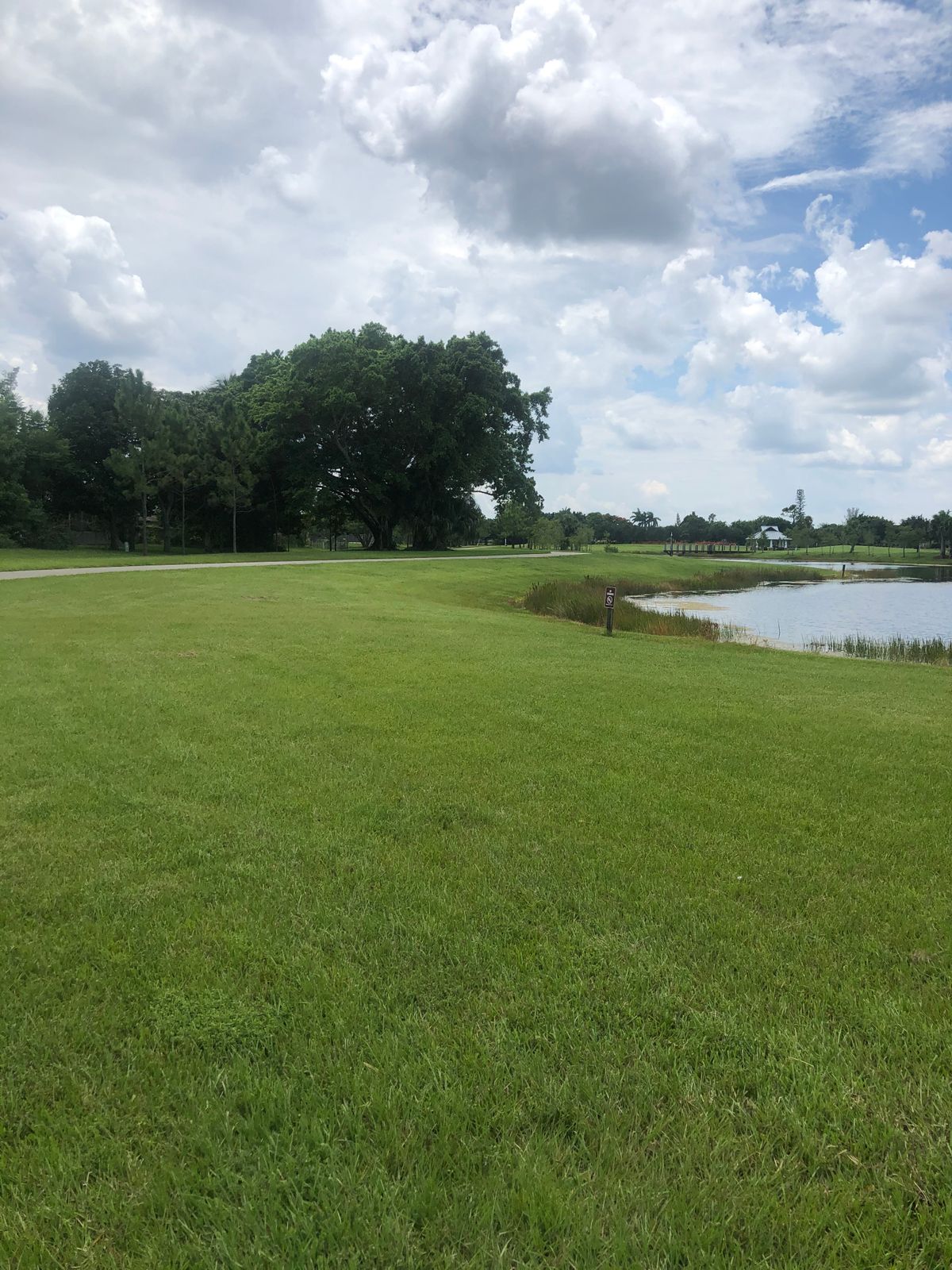 Hole 5