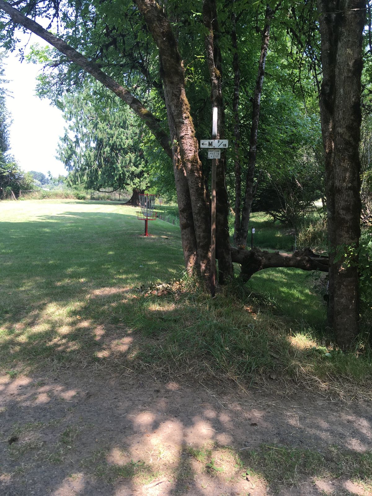 Picture of the new baskets played in August 2021. Good mix of easy and hard.