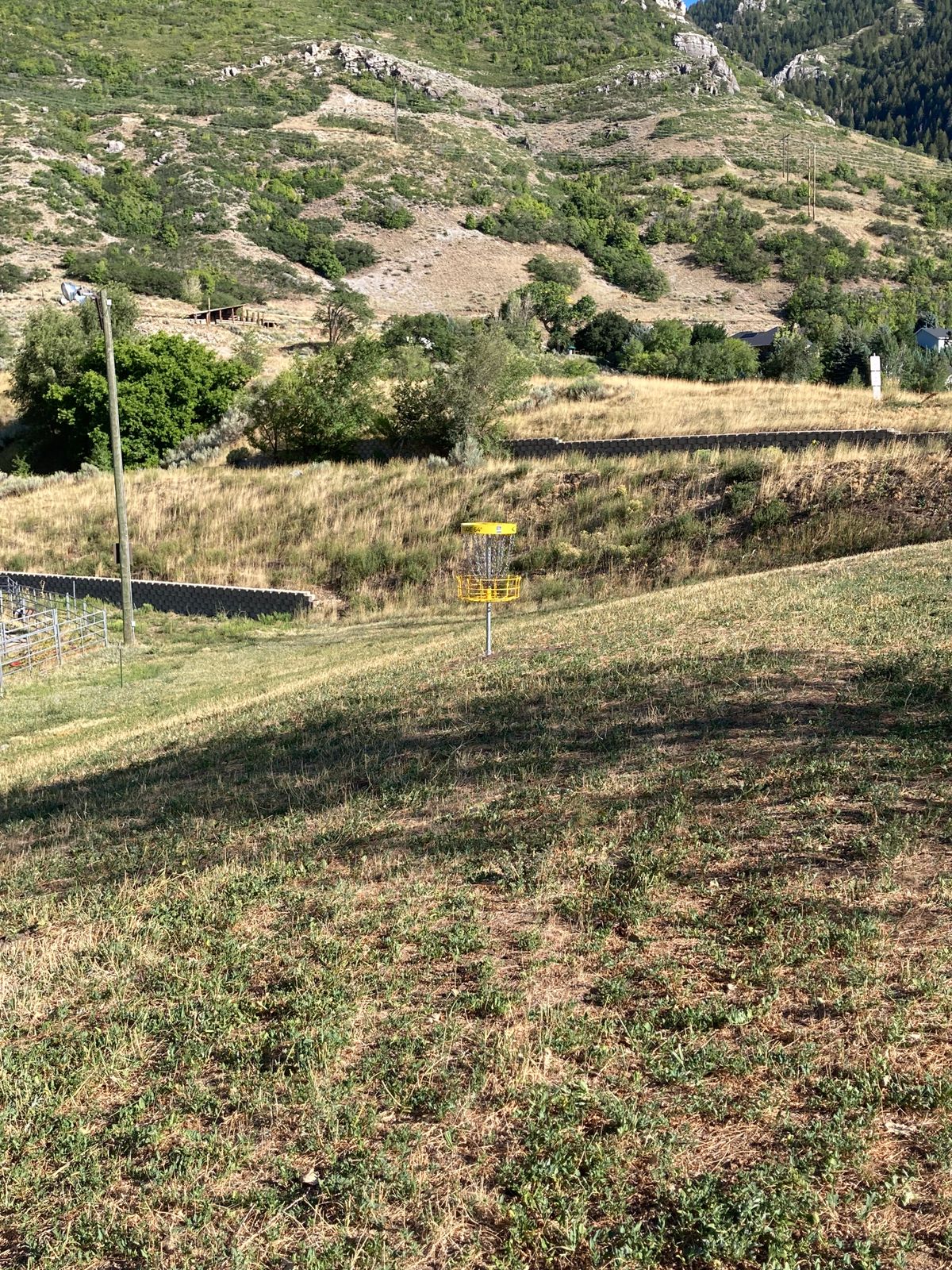 Hole 1 Basket