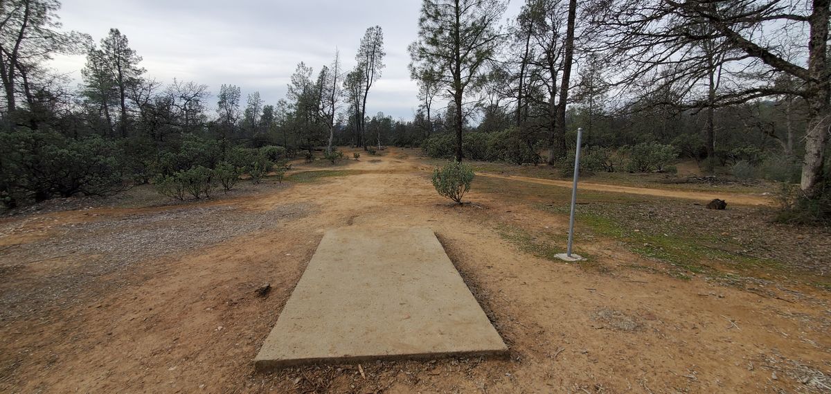 Hole 8 Tee Pad.