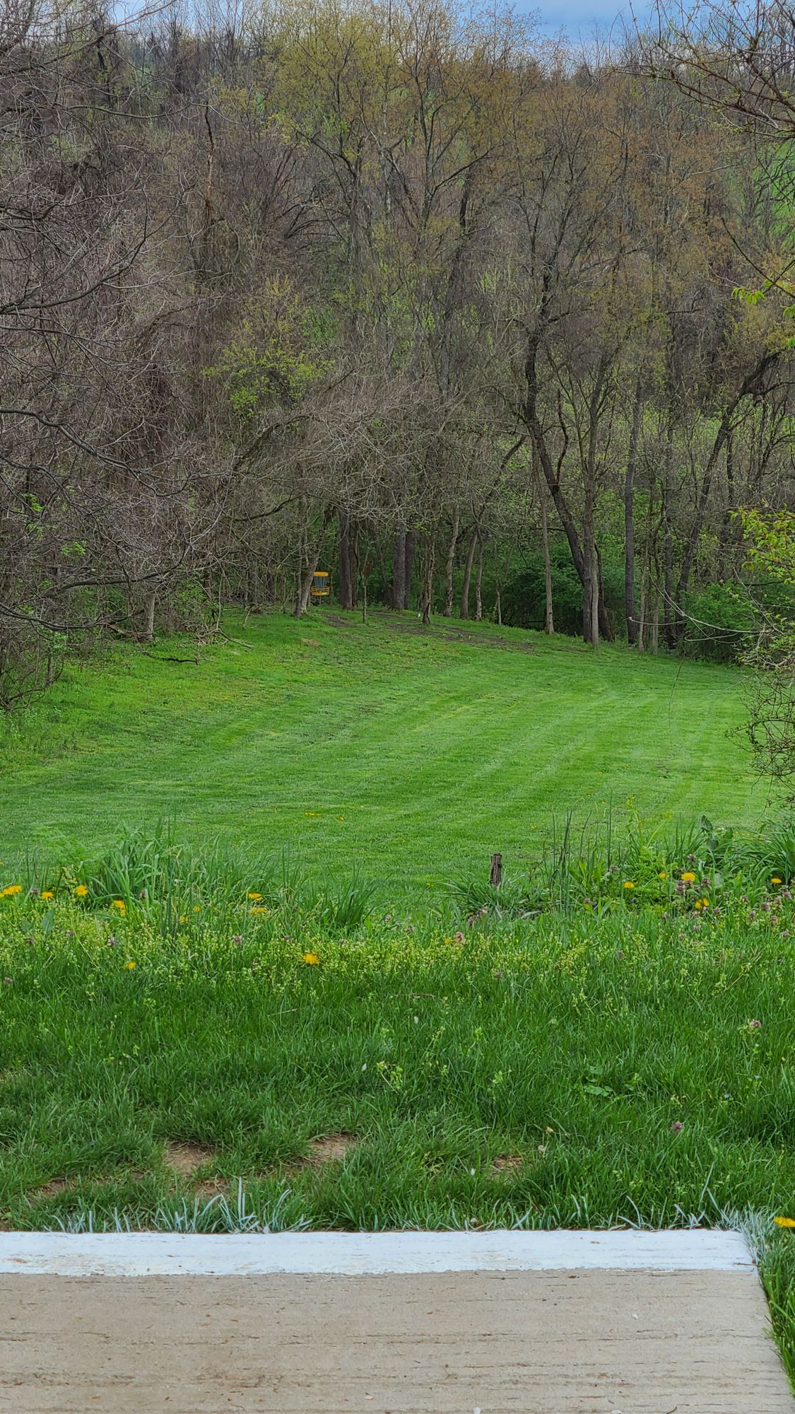 Hole 1 on an early spring day with my ace disc sitting in the basket. 330ft baby!