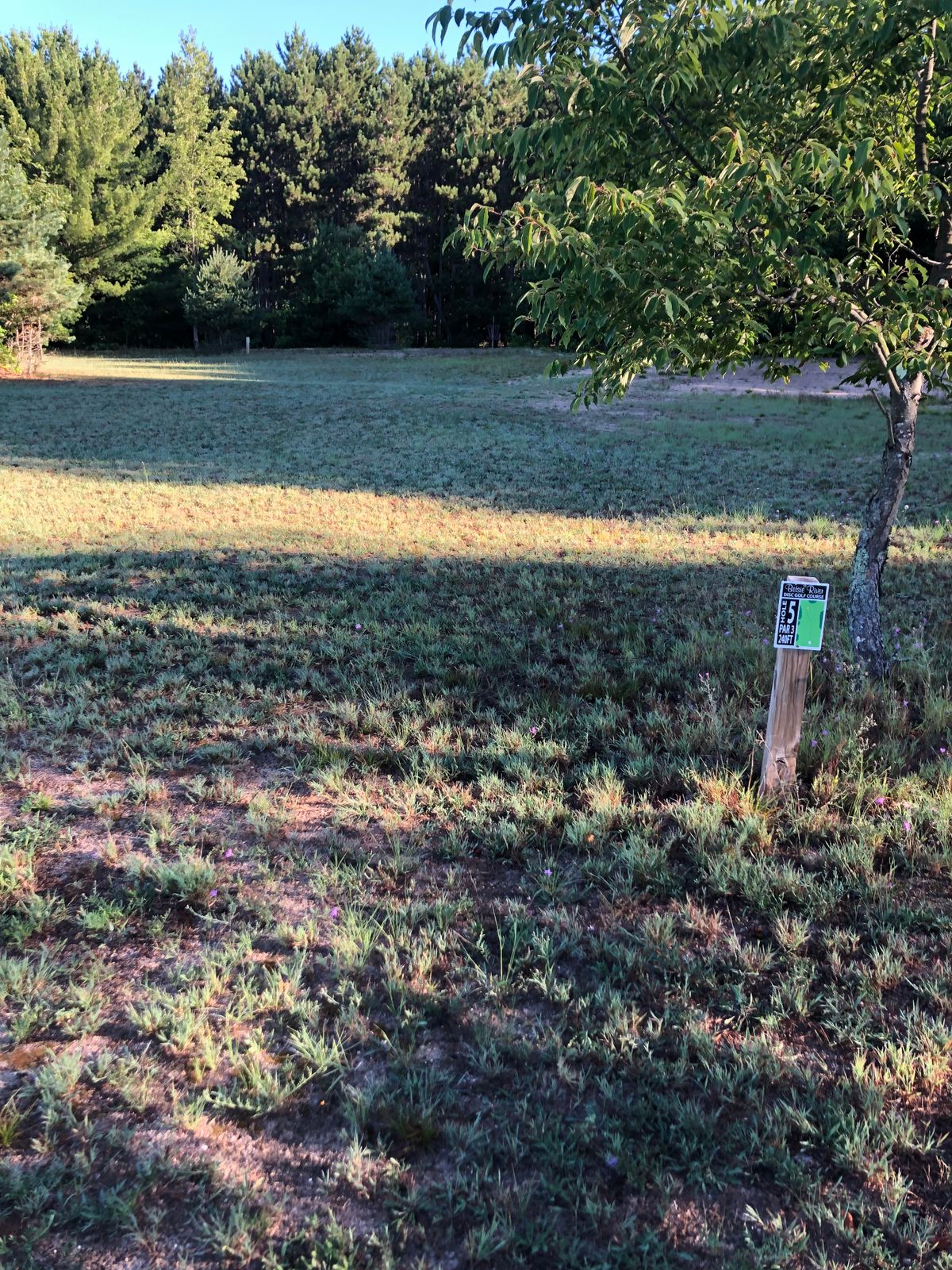 Hole 5