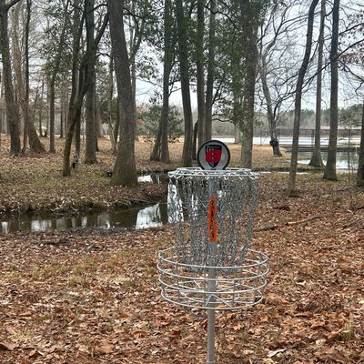 Hole 8 Basket near the stream and a beautiful view of the lake.