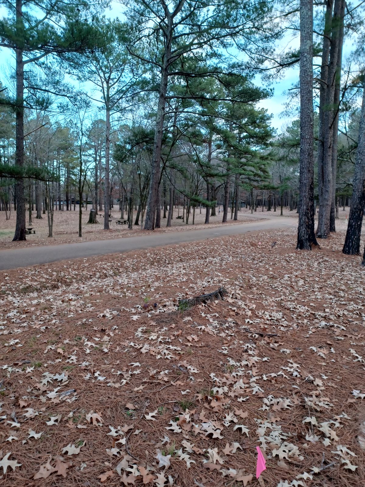 Hole 1