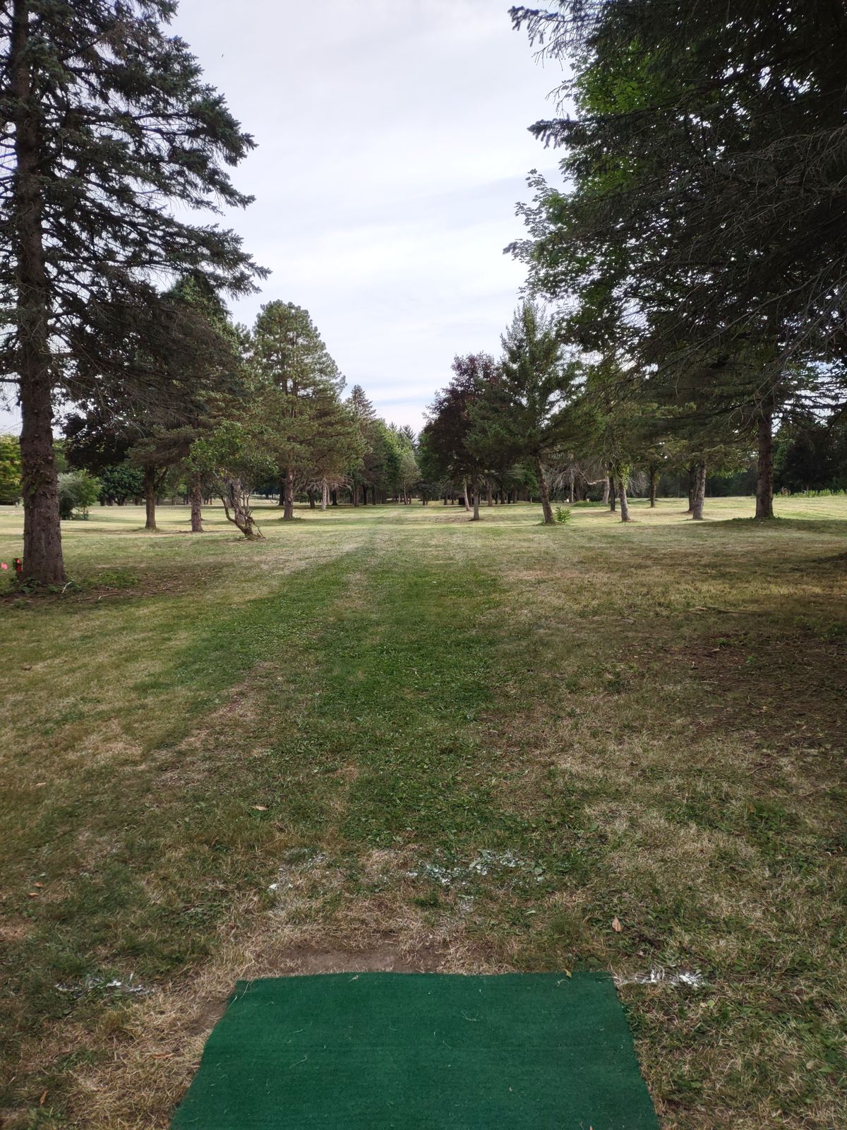 Hole 5 tee