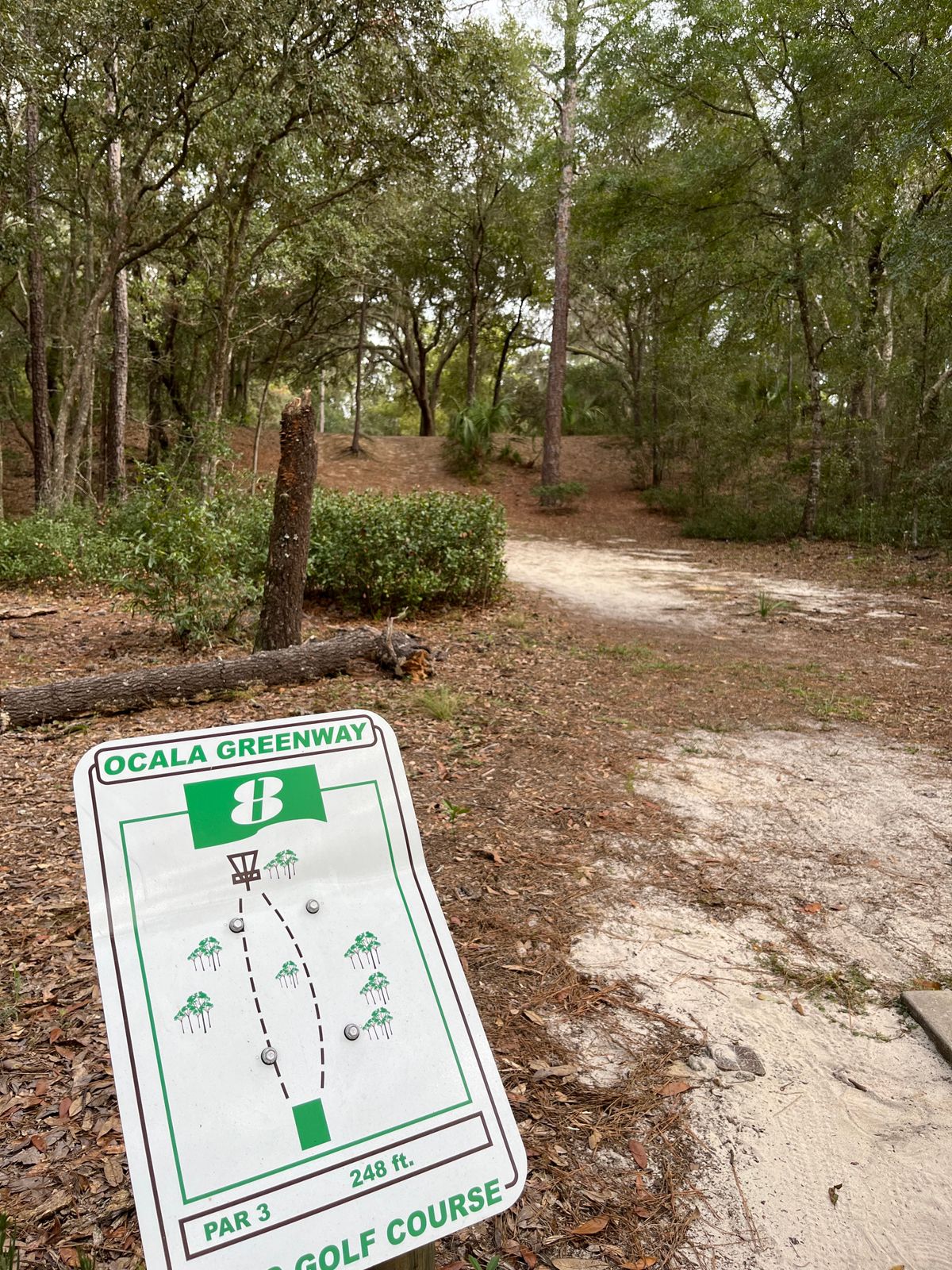 #8 Tee (only pad)
