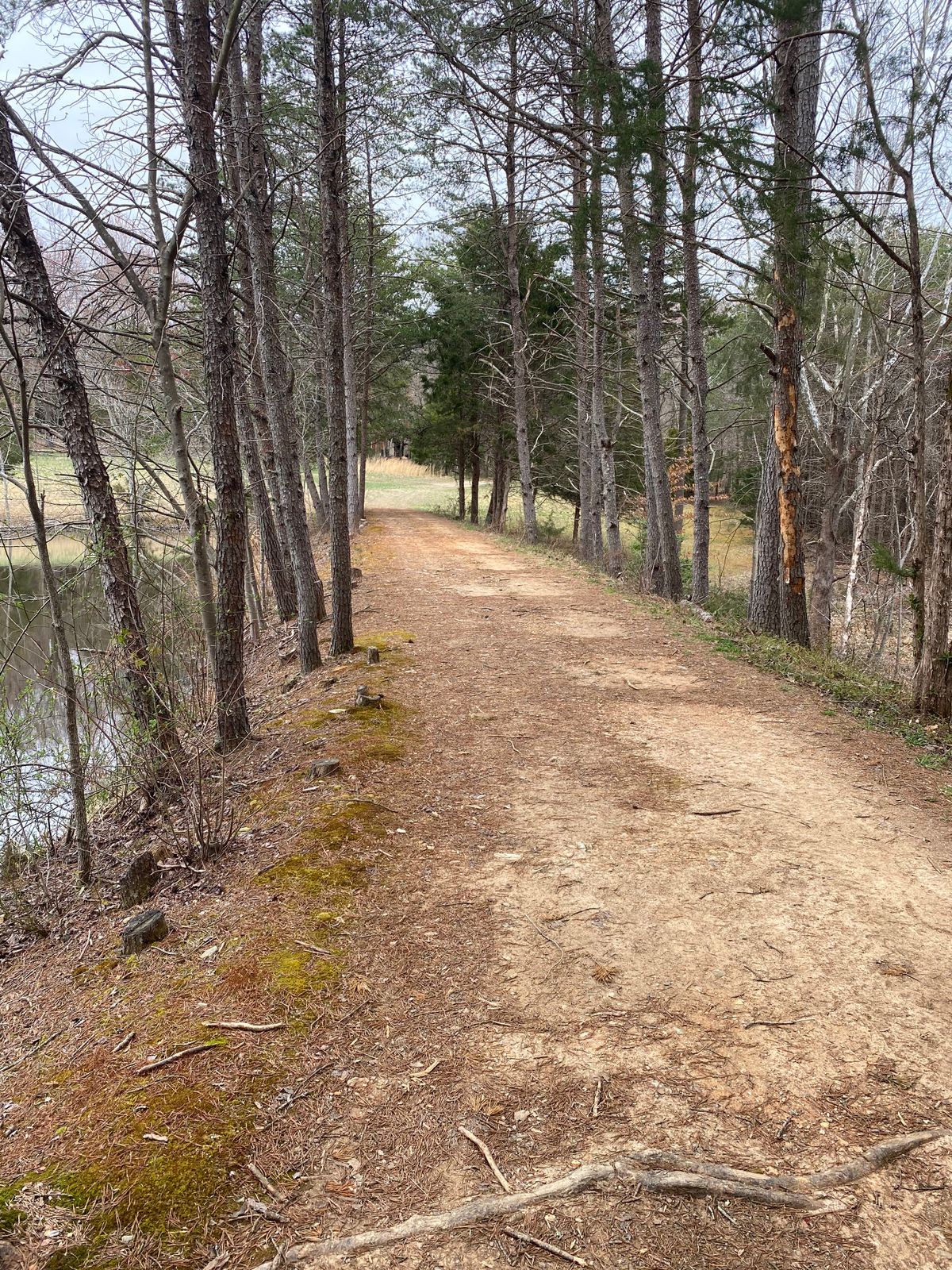 Pond tunnel