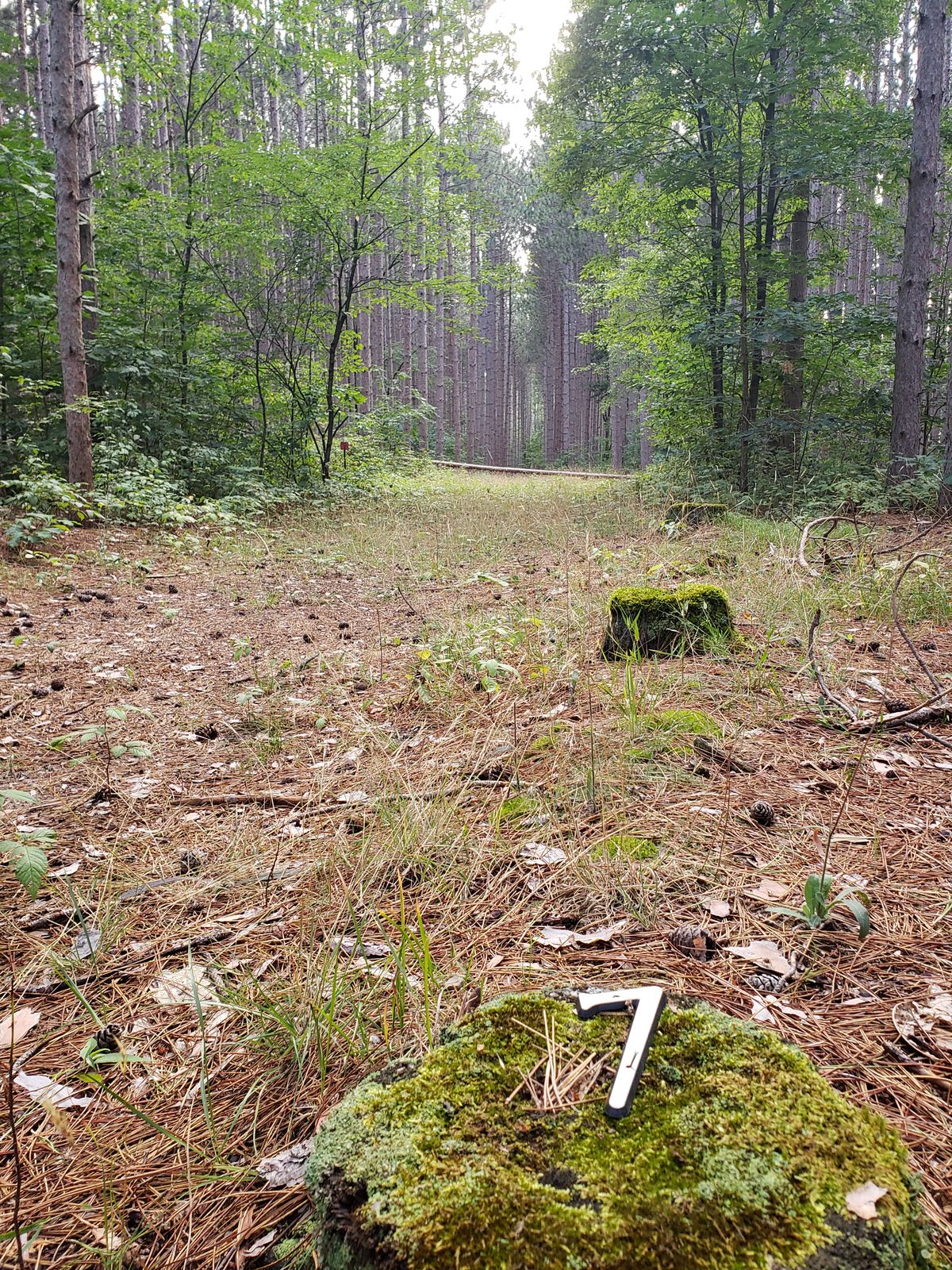 Hole 7s Tee Pad