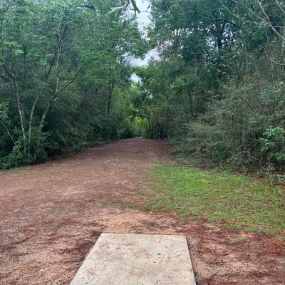 Hole 1 11/11/23