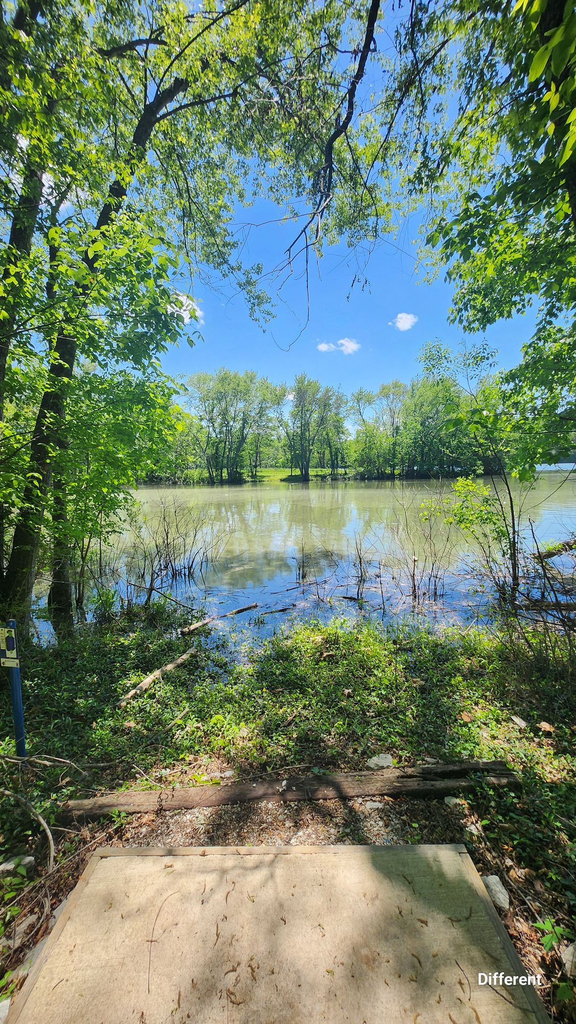 Hole 4, not that long, but those trees are punishing! There is an alternate tee pad around the corner if you don't want to cross the water.
